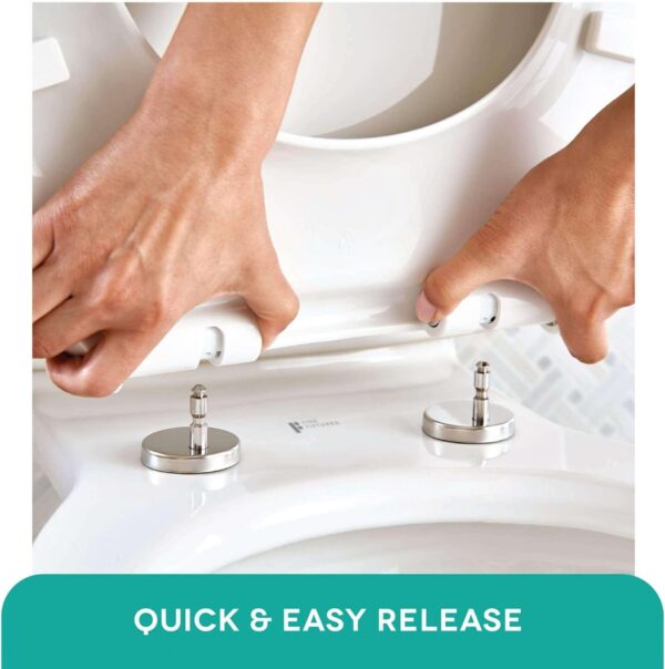 Fine Fixtures Modern One-Piece Toilet, High-Efficiency Dual Flush System, Compact Space-Saver Design, Round Toilet Seat, Standard 10" Rough-In