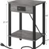 Set of 2 End Table with Charging Station, Narrow Side Table with USB Ports and Outlets, Nightstands with 2-Tier Storage Shelves, Sofa Table for Small Space Living Room Bedroom, Grey