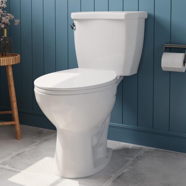 DeerValley Two-Piece Elongated Toilet ADA 17.9” High Toilet for Bathrooms, 1000g Map High-Efficiency, 12" Rough-In