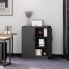 Yizosh Metal Garage Storage Cabinet with 2 Doors and 2 Adjustable Shelves - 35.5" Steel Lockable File Locking Counter Cabinet for Home Office,Gym,School（Black）