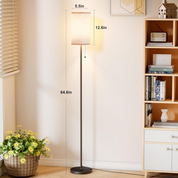 Floor Lamps for Living Room, Modern Standing Lamp with Pull Chain Switch, 3 Color Temperature Black Pole Lamp with Lampshade, 9W LED Bulb Tall Lamps for Bedroom Office Kid Room