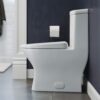 Swiss Madison SM-1T257 Sublime II Compact 24" Length One Piece Toilet Dual Flush 1.1/1.6 GPF with Side Holes, Glossy White