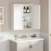 Shintenchi Bathroom Wall Mounted Cabinet,Medicine Cabinet with 2 Door, Bathroom Storage Cabinet Over The Toilet,Space Saving Storage Cabinet with 3-Tier Shelves,White