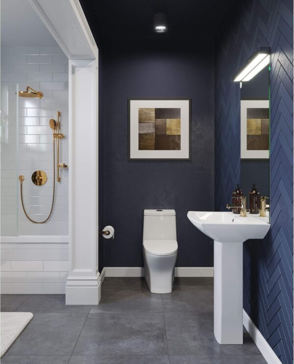Swiss Madison SM-1T257 Sublime II Compact 24" Length One Piece Toilet Dual Flush 1.1/1.6 GPF with Side Holes, Glossy White
