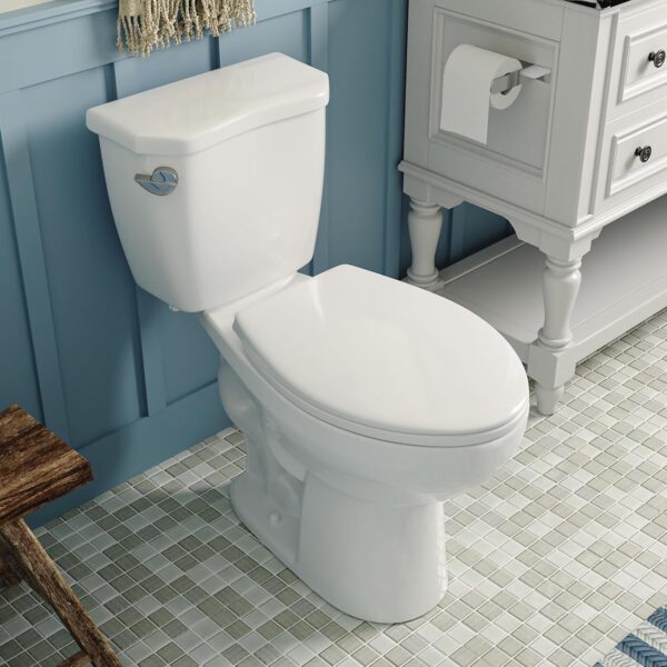 DeerValley Two-Piece Elongated Toilet ADA 17.9” High Toilet for Bathrooms, 1000g Map High-Efficiency, 12" Rough-In