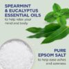 Dr Teal's Body Wash with Pure Epsom Salt, Relax & Relief with Eucalyptus & Spearmint, 24 fl oz (Pack of 2)