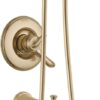 Delta T17494-CZ-I Linden 17 Series Tub & Shower, Without Rough, Champagne Bronze