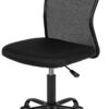 FDW Home Office Chair Mid Back Mesh Desk Chair Armless Computer Chair Ergonomic Task Rolling Swivel Chair Back Support Adjustable Modern Chair with Lumbar Support (Black)
