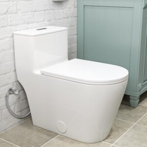 Compact One Piece Toilet, Dual Flush Elongated Standard Modern Toilet with Comfortable Seat Height, 12'' Rough-In (White)