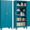 71'' Farmhouse Metal Storage Cabinet with Barn Doors,Steel File Cabinet for Home Office,Kitchen Pantry 4 Adjustable Shelves,Freestanding Cupboard for Kitchen,Home Office (Peacock Blue)