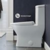Swiss Madison Well Made Forever SM-1T277, Sublime II One-Piece Round Toilet, 10" Rough-In 1.1/1.6 gpf