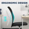FDW Home Office Chair Mid Back Mesh Desk Chair Armless Computer Chair Ergonomic Task Rolling Swivel Chair Back Support Adjustable Modern Chair with Lumbar Support (Black)