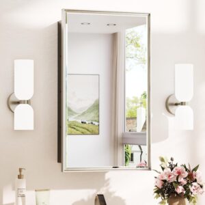 TokeShimi 14x24 Recessed or Surface Mounted Medicine Cabinet Mirrored, Brushed Nickel Bathroom Medicine Cabinet Mirror Aluminum Framed Modern Farmhouse, Metal Mirror with Storage Adjustable