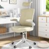 Home Office Chair, Ergonomic Comfy Desk Chair, High Back Computer Chair- Adjustable Headrest with Flip-Up Arms, Lumbar Support, Swivel Executive Task Chair (Modern, Beige)