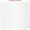 31GqcVMs7IL._AC_SL1200_.jpg Repurpose 100% Bamboo Toilet Paper, 3-Ply, Tree-Free, Plastic-Free, FSC Certified, Septic Safe, Fast Dissolving, RV-Friendly, 12 Rolls (300 Sheets/Roll), No Fragrance/Dyes