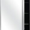 Modern Medicine Cabinet Mirror Storage for Bathroom Bedroom Surface/Recessed Mount with 3 Shelves (16"x26", Brushed Silver)