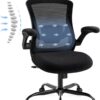 Ergonomic Office Chair with Adjustable Lumbar Support & Headrest – High Back Mesh Desk Chair with Flip-Up Armrests, Swivel Rolling Computer Chair for Home Office, Breathable & BIFMA Certified, Black