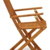 East West Furniture BCMCANA Beasley Patio Dining Folding Arm Chairs - Acacia Wood, Set of 2, Natural Oil