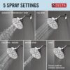 Delta Faucet Nicoli 14 Series Single-Handle Shower Faucet, Shower Trim Kit with 5-Spray H2Okinetic Shower Head, Chrome 142749 (Shower Valve Included)