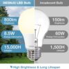 LED Light Bulbs, 60 Watt Equivalent LED Bulbs A19, 2700K Soft White, 800 Lumens, E26 Standard Base, Non-Dimmable, 8.5W Warm White LED Bulbs for Bedroom Living Room, 12 Pack