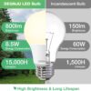 A19 LED Light Bulbs, 60 Watt Equivalent LED Bulbs, Soft White 2700K, 800 Lumens, E26 Standard Base, Non-Dimmable, 8.5W Warm White LED Bulbs for Bedroom Living Room, 3 Pack