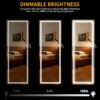 LVSOMT LED Wall/Door Mounted Jewelry Cabinet Armoire, Full Length Mirror with Lights, Lockable Storage Organizer, Over the Door Hanging Dressing Body Mirror (Wood)