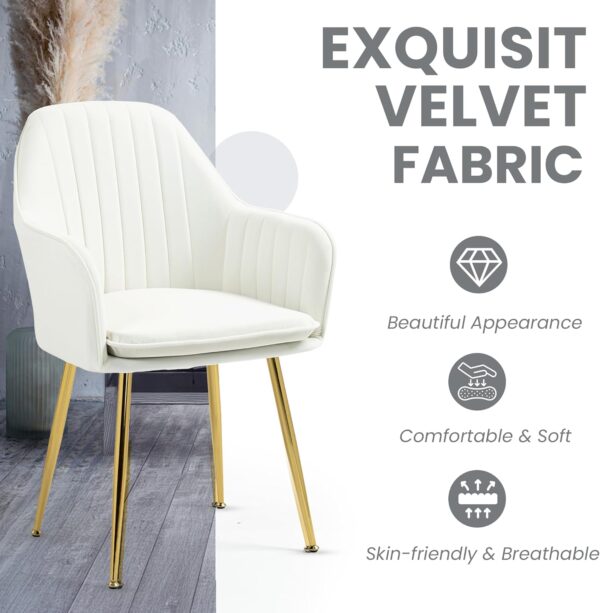 ECOTOUGE Velvet Dining Chairs Set of 2, Modern Arm Chair with Golden Metal Legs, Living Room Accent Chairs for Kitchen, Beige