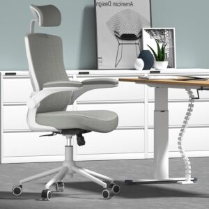 Home Office Chair, Ergonomic Comfy Desk Chair, High Back Computer Chair- Adjustable Headrest with Flip-Up Arms, Lumbar Support, Swivel Executive Task Chair (Modern, Star Dust)