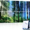 Art Acoustic Panels 8 Pack, Sound Proof Panels for Walls, 48"X32" Self-adhesive Sound Absorbing Wall Art, Decorative Acoustical Panels, Acoustic Treatment for Recording Studio(Nature Forest)