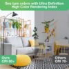 A19 LED Light Bulbs, 60 Watt Equivalent LED Bulbs, Soft White 2700K, 800 Lumens, E26 Standard Base, Non-Dimmable, 8.5W Warm White LED Bulbs for Bedroom Living Room, 3 Pack