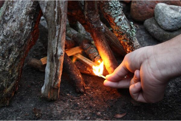 3 Pack Fatwood Fire Starter Sticks, Fireplace & Campfires, 50 Lbs
