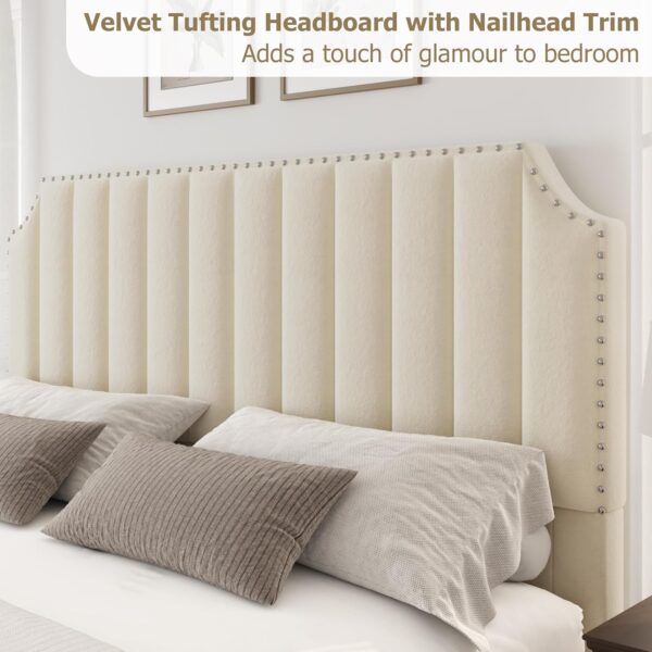 Queen Size Platform Bed Frame with 50.2" Headboard, Velvet Upholstered Bed Frame Queen with Vertical Channel Tufted Headboard & Footboard, Nailhead Trim, No Box Spring Needed, Cream