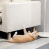 Kitchen Backsplash Wall Protector Transparent Kitchen Oil Proof Sticker Self-Adhesive Film Removable Paper for Cupboard Household 15.7In×118In