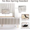 Livinia Queen Size Elton Velvet Platform Bed, Upholstered Bed Frame with Vertical Channel Tufted Headboard Footboard, Strong Wood Slats, No Box Spring Needed, Ivory (Queen)