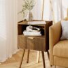 Nightstand,Modern Bedside Table with Storage Drawer and Open Wood Shelf, for Living Room, Bedroom and Small Spaces, Accent Night Stand with Solid Wood Legs, Easy Assembly,Walnut Brown