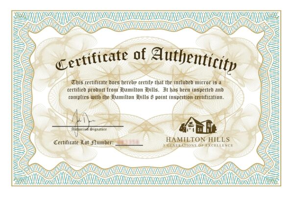 Hamilton Hills Bathroom Mirror with Storage - Wall Mounted Medicine Cabinet with 4 Glass Shelves and LED Backlighting - Modern Rectangular Organizer for Bathroom Décor 16 x 26 Inch - White