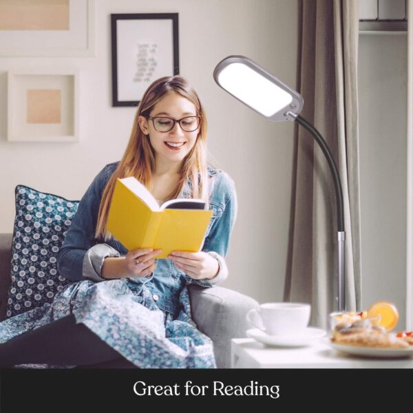 Brightech Litespan Slim LED Floor Reading Lamp with Adjustable Gooseneck for Living Rooms & Offices, Dimmable Standing Lamp for Bedroom - Silver