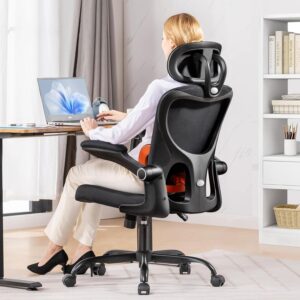 COMHOMA Ergonomic Office Desk Chair with 3D Adjustable Lumbar Support & Headrest, High Back Executive Computer Chair Comfy for Back Pain Relief, Flip-up Armrests (Black)