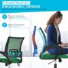 Home Office Chair Ergonomic Desk Chair Mesh Computer Chair with Lumbar Support Armrest Executive Rolling Swivel Adjustable Mid Back Task Chair for Women Adults,Green