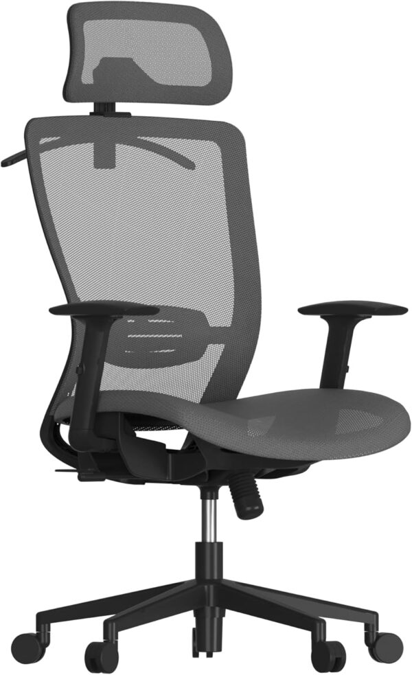 71MdbhZzDUL._AC_SL1500_.jpg FLEXISPOT Ergonomic Office Chair, High Back Mesh Swivel Computer Chair, Executive Office Desk Chairs, with Adjustable Lumbar Support/2D Headrest/Lockable Backrest, OC3 Mesh Seat, Gray