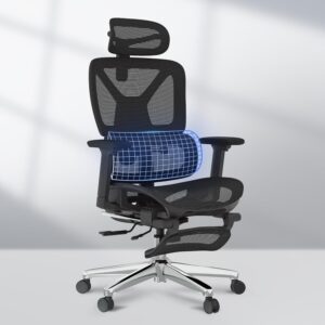 FLEXISPOT ErgoX Premium Ergonomic Office Chair with Footrest- Adjustable 3D Armrests, Dynamic Lumbar Support, Recline & Tilt Function, Mesh Seat, for Home & Office Use,Black
