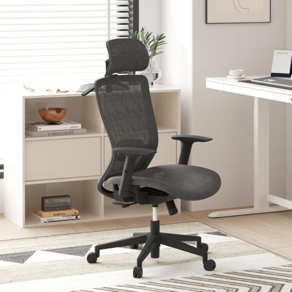 81Clhex9-uL._AC_SL1500_.jpg FLEXISPOT Ergonomic Office Chair, High Back Mesh Swivel Computer Chair, Executive Office Desk Chairs, with Adjustable Lumbar Support/2D Headrest/Lockable Backrest, OC3 Mesh Seat, Gray