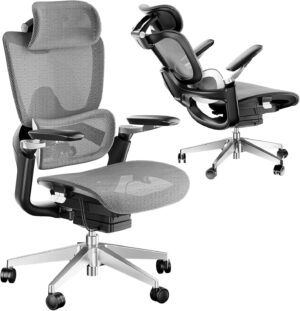 Ergonomic Office Chair, Big and Tall Mesh Home Desk Chair with Adaptive Lumbar Support, Gaming Chair with Headrest, 5D Armrest,90-130°Tilt, BIFMA Certified, Model Zen (Grey)