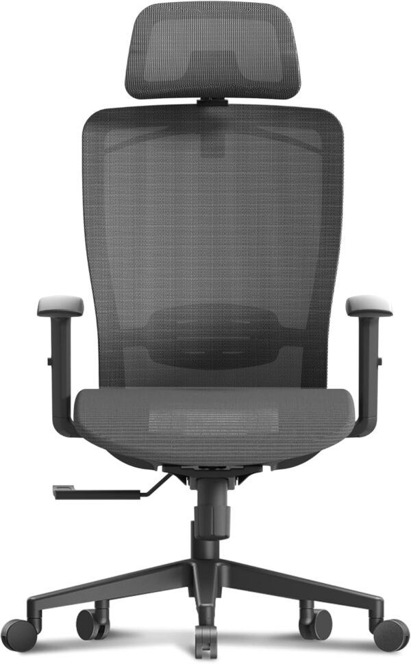 81kNbutgv8L._AC_SL1500_.jpg FLEXISPOT Ergonomic Office Chair, High Back Mesh Swivel Computer Chair, Executive Office Desk Chairs, with Adjustable Lumbar Support/2D Headrest/Lockable Backrest, OC3 Mesh Seat, Gray
