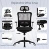 COLAMY Executive Mesh Office Chair with Footrest, Ergonomic Chair High Back with Adjustable Lumbar Support, Computer Desk Chair for Office/Work-Black