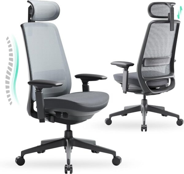 COLAMY Ergonomic Office Chair, High Back Computer Executive Desk Chair with Lumbar Support, Adjustable Headrest and 4D Arms, Slide Seat-BlackGrey
