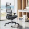 COLAMY Ergonomic Office Chair, High Back Computer Executive Desk Chair with Lumbar Support, Adjustable Headrest and 4D Arms, Slide Seat-BlackGrey