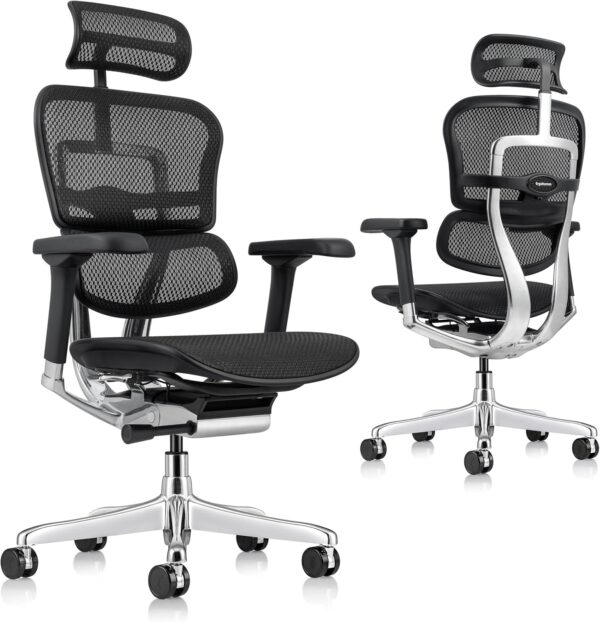 816BuqHT2CL._AC_SL1500_.jpg Ergohuman Eurotech ME7ERG GEN2 High Back Mesh Office Chair with Tilt Tension Control, Tilt Lock, Back Angle, Back Height, Synchro Tilt, Seat Height, Seat Depth, and Arm Height Adjustments, Black