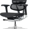 81wIx-sIELL._AC_SL1500_.jpg Ergohuman Eurotech ME8ERG GEN2 High Back Mesh Office Chair with Tilt Tension Control, Tilt Lock, Back Angle, Back Height, Synchro Tilt, Seat Height, Seat Depth, and Arm Height Adjustments, Black