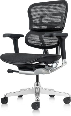 81wIx-sIELL._AC_SL1500_.jpg Ergohuman Eurotech ME8ERG GEN2 High Back Mesh Office Chair with Tilt Tension Control, Tilt Lock, Back Angle, Back Height, Synchro Tilt, Seat Height, Seat Depth, and Arm Height Adjustments, Black